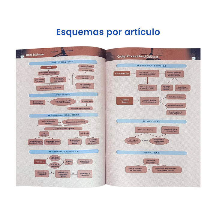 Código Procesal Penal Didáctico: Explicado en Diagramas