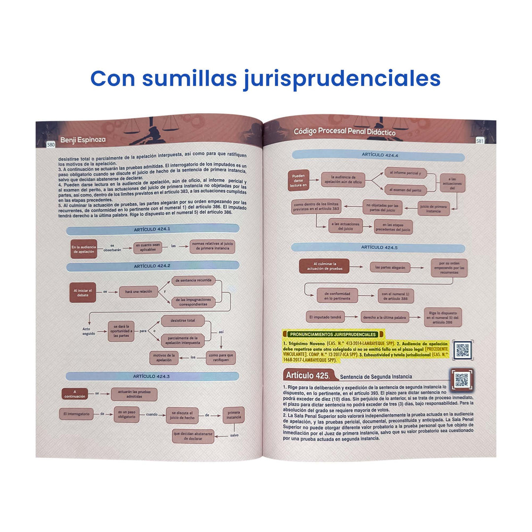Código Procesal Penal Didáctico: Explicado en Diagramas