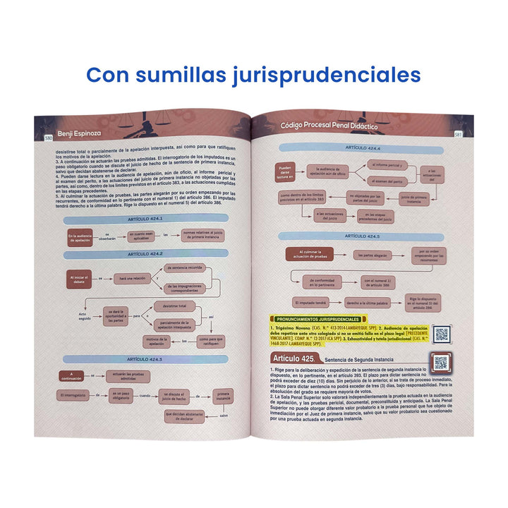 Código Procesal Penal Didáctico: Explicado en Diagramas