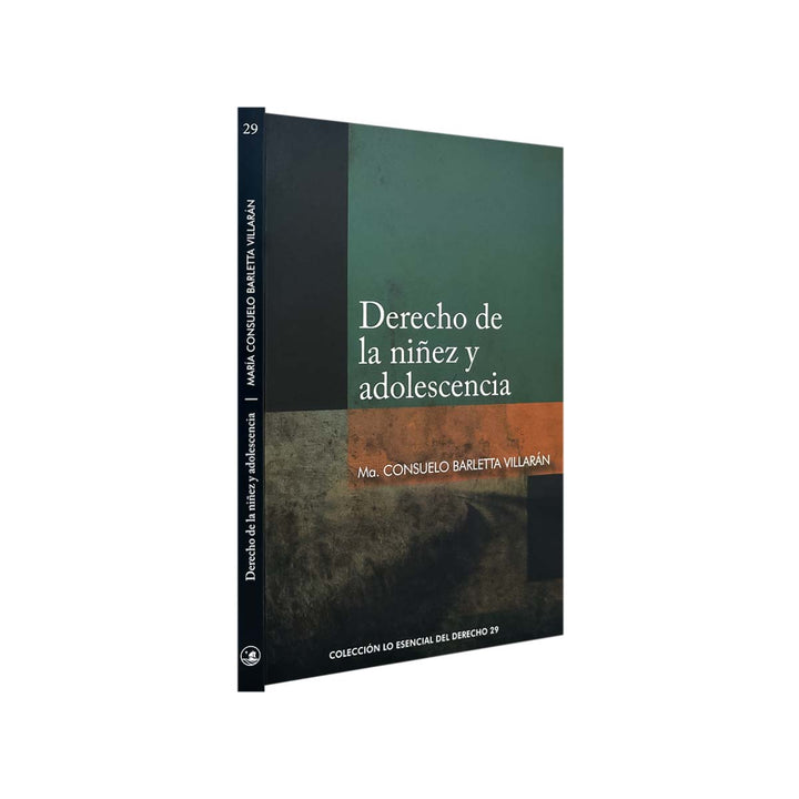 Derecho de la Niñez y Adolescencia, de María Consuelo Barletta