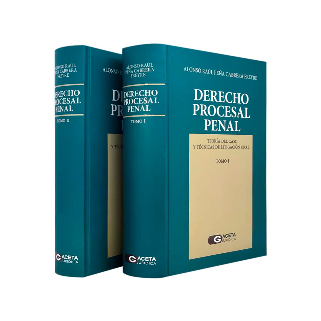 Derecho Procesal Penal: Teoría del Caso y Técnicas de Litigación Oral