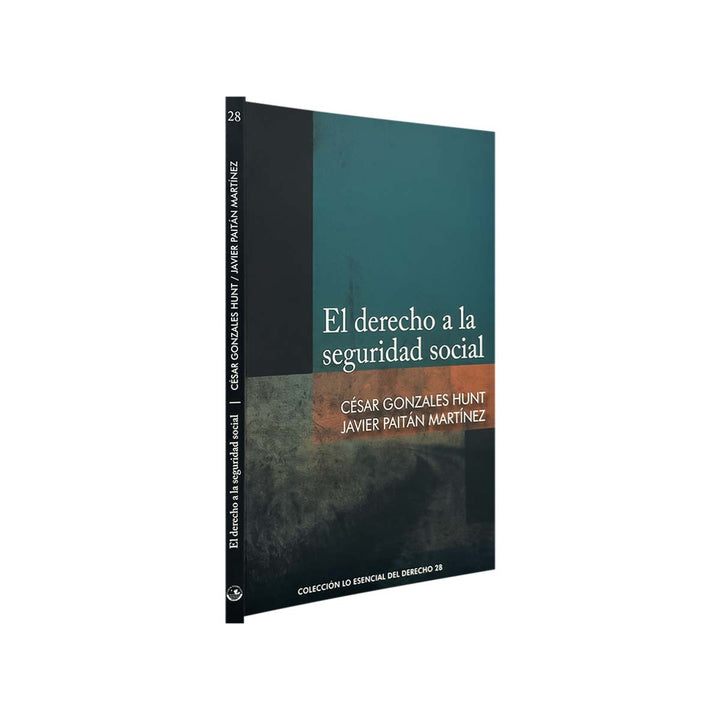 El Derecho a la Seguridad Social