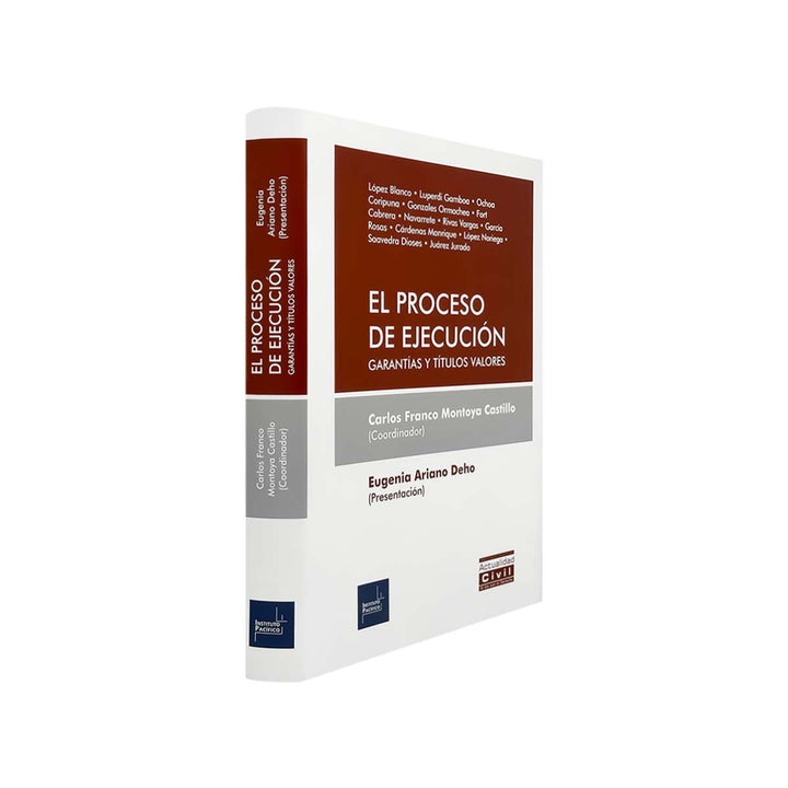 El Proceso de Ejecución: Garantías y Títulos Valores