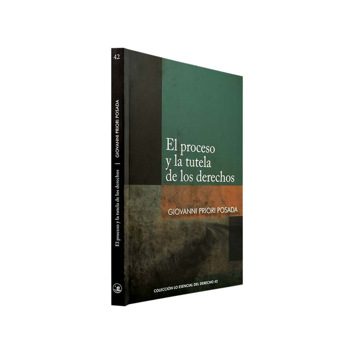 El Proceso y la Tutela de los Derechos