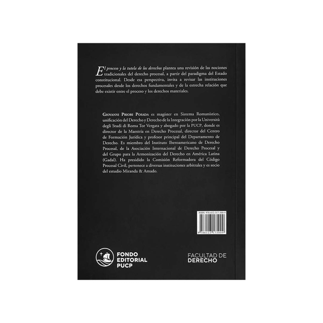 Contracubierta del libro El Proceso y la Tutela de los Derechos.