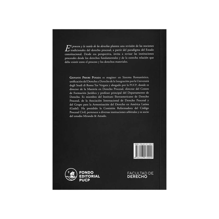 Contracubierta del libro El Proceso y la Tutela de los Derechos.