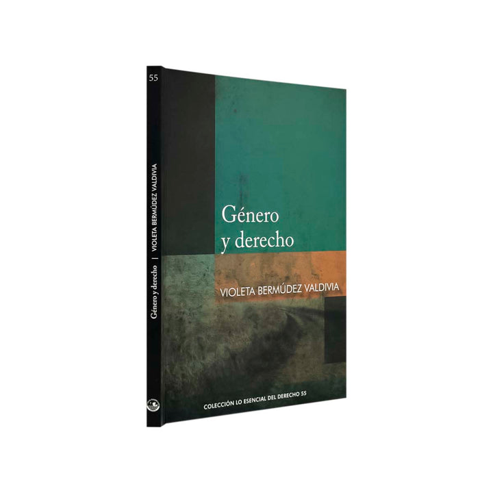 Género y Derecho, de Violeta Bermúdez Valdivia