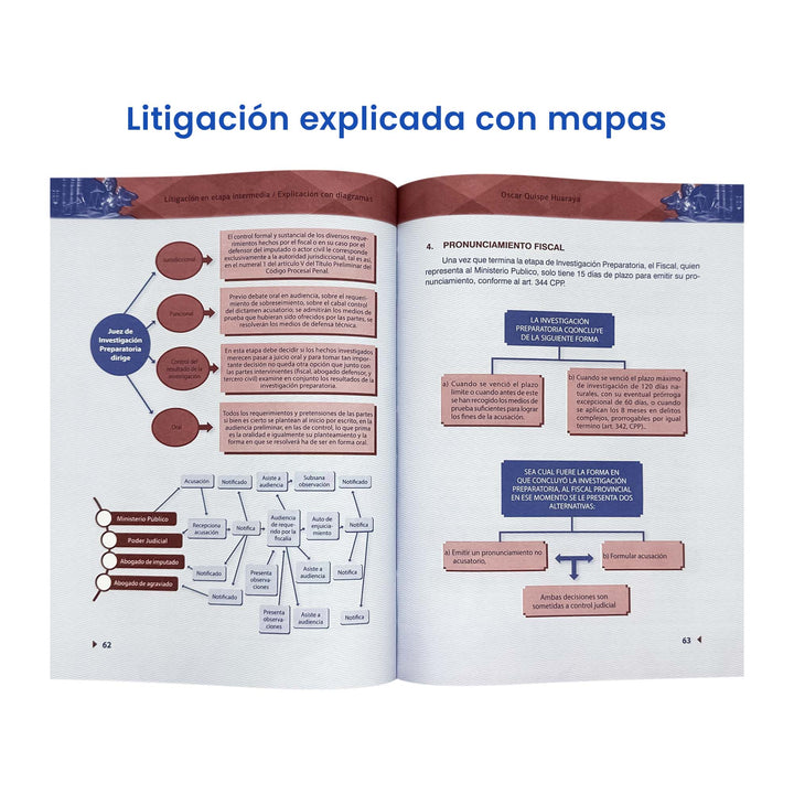 Litigación en Etapa Intermedia: Explicación en Diagramas