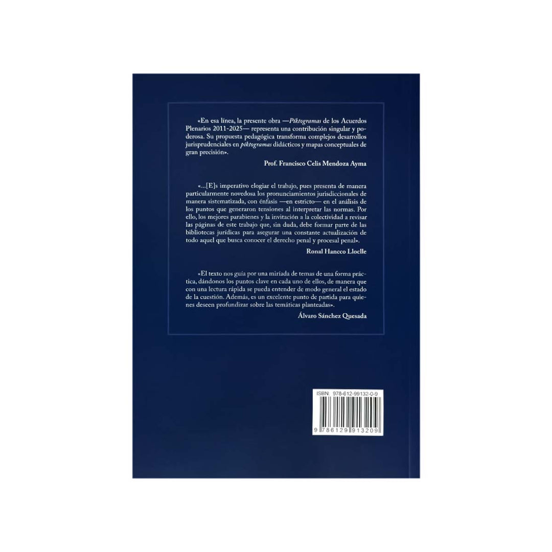 Contracubierta del libro Piktogramas de los Acuerdos Plenarios 2011 - 2025.