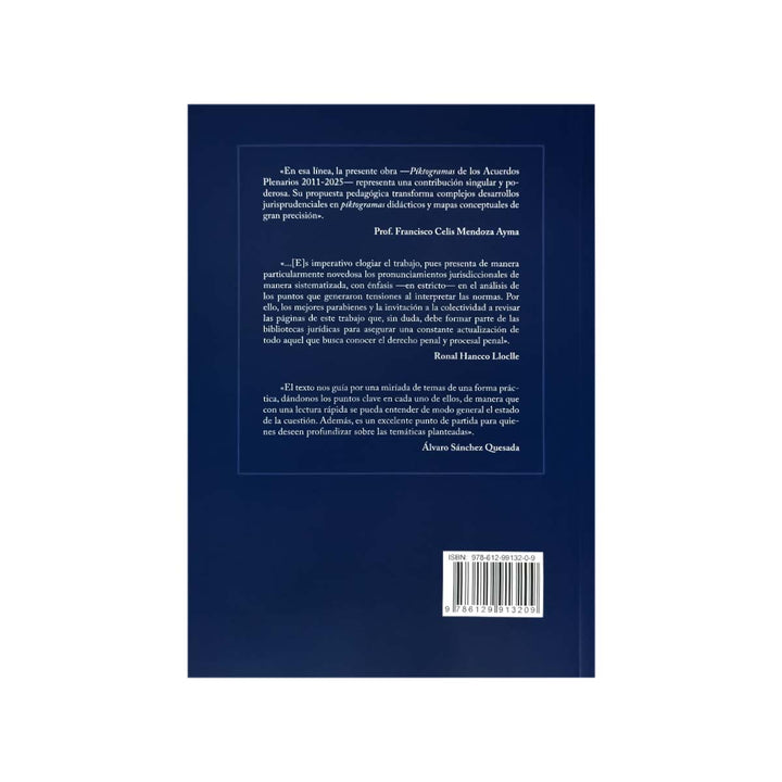 Contracubierta del libro Piktogramas de los Acuerdos Plenarios 2011 - 2025.