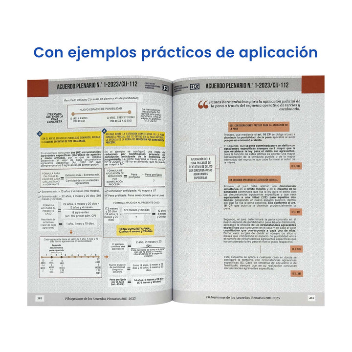 Piktogramas de los Acuerdos Plenarios 2011 - 2025