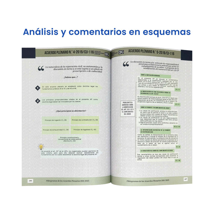 Piktogramas de los Acuerdos Plenarios 2011 - 2025
