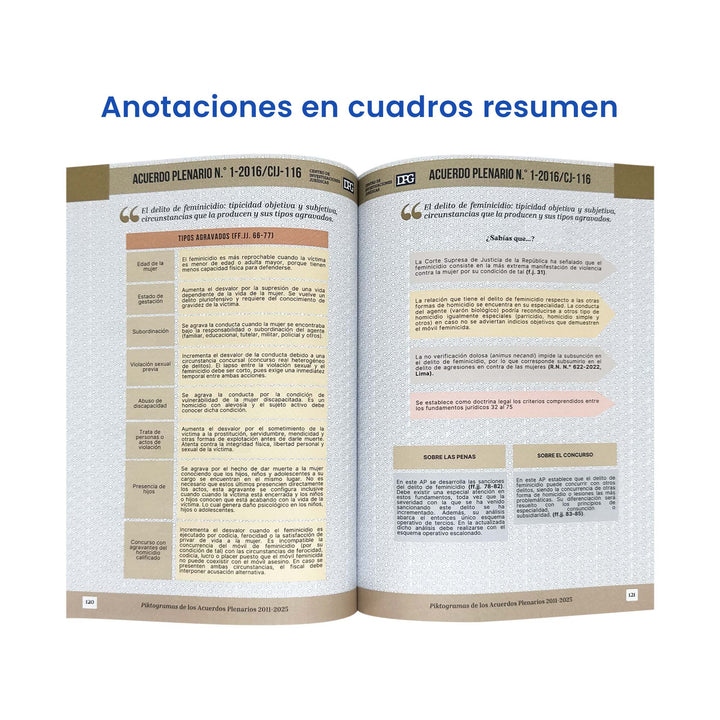 Piktogramas de los Acuerdos Plenarios 2011 - 2025