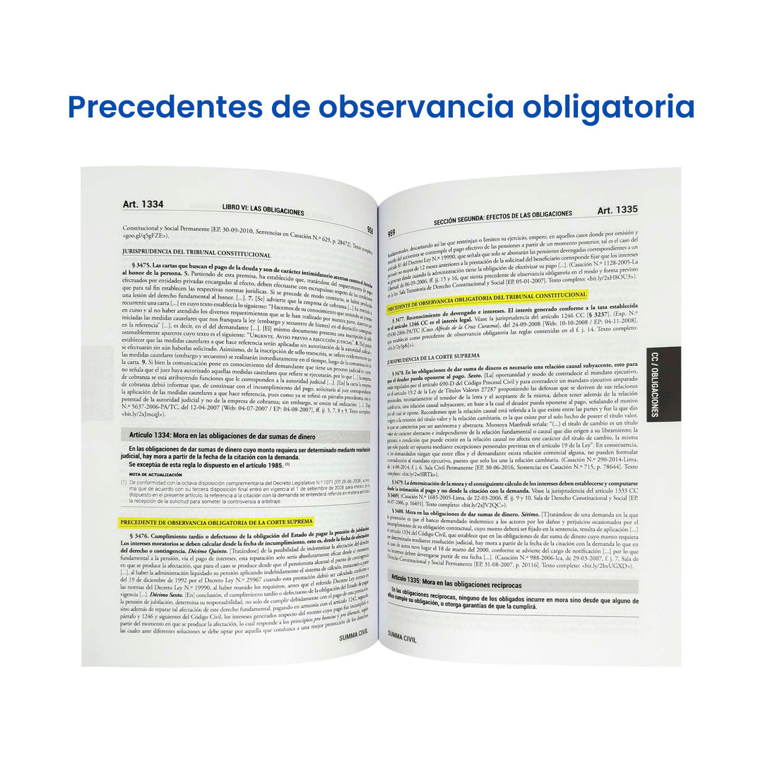 Summa Civil 2024: Código Civil + 5000 Casaciones y Resoluciones