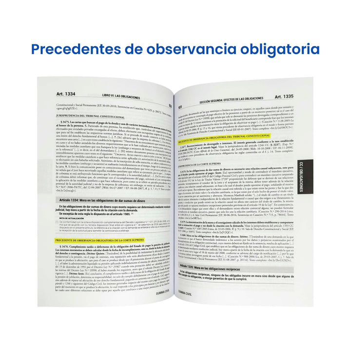 Summa Civil 2024: Código Civil + 5000 Casaciones y Resoluciones