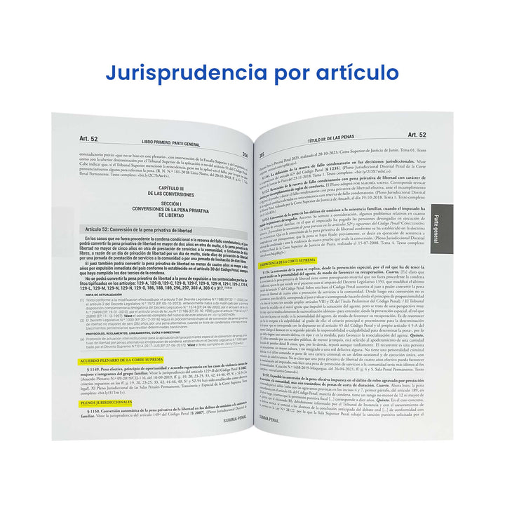 Summa Penal 2024: Código Penal + 4120 Jurisprudencias