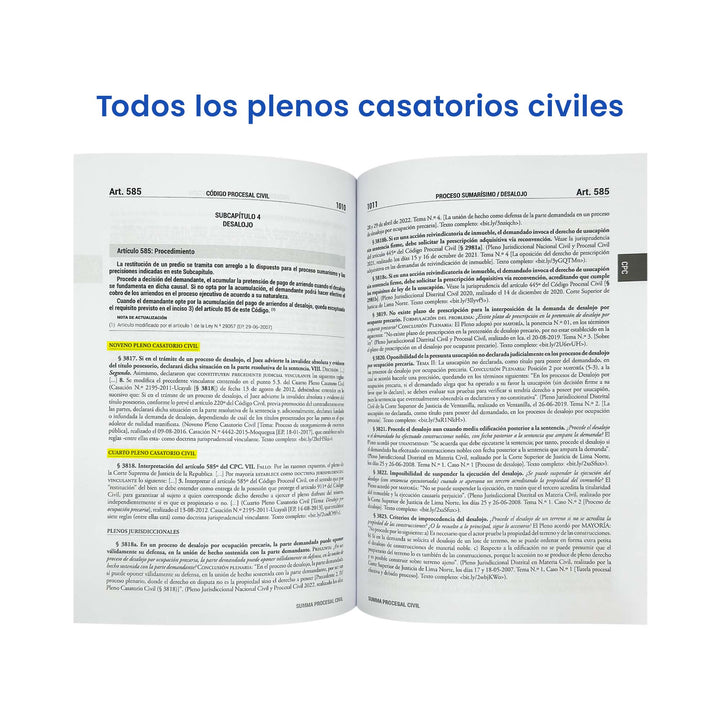 Summa Procesal Civil 2024: Código Procesal Civil + 5000 Casaciones y Resoluciones