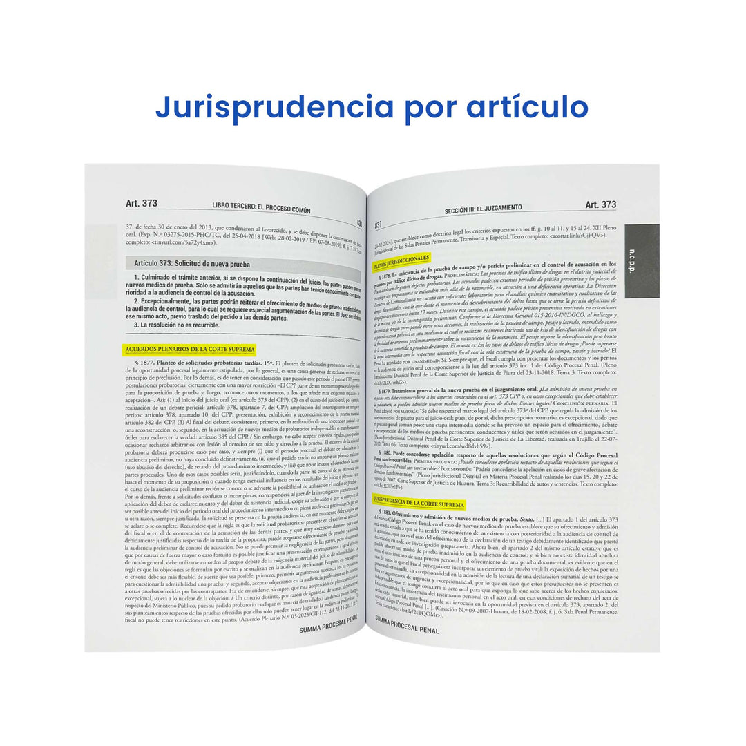 Summa Procesal Penal 2024: Código Procesal Penal + 3200 Jurisprudencias