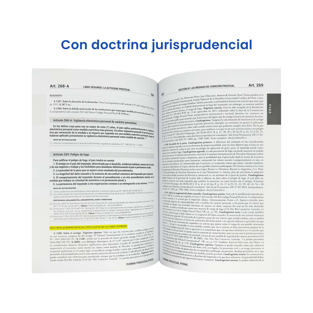 Summa Procesal Penal 2024: Código Procesal Penal + 3200 Jurisprudencias