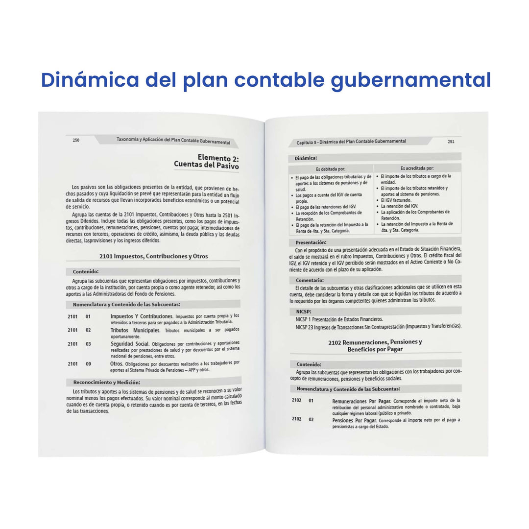 Taxonomía y Aplicación del Plan Contable Gubernamental: Casos Prácticos, Dinámica y Monografías (Edición 2025)