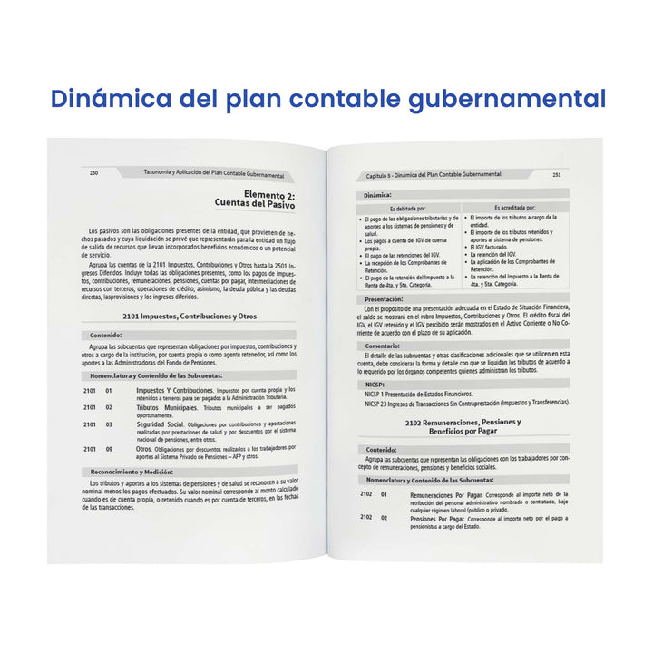 Taxonomía y Aplicación del Plan Contable Gubernamental: Casos Prácticos, Dinámica y Monografías (Edición 2025)