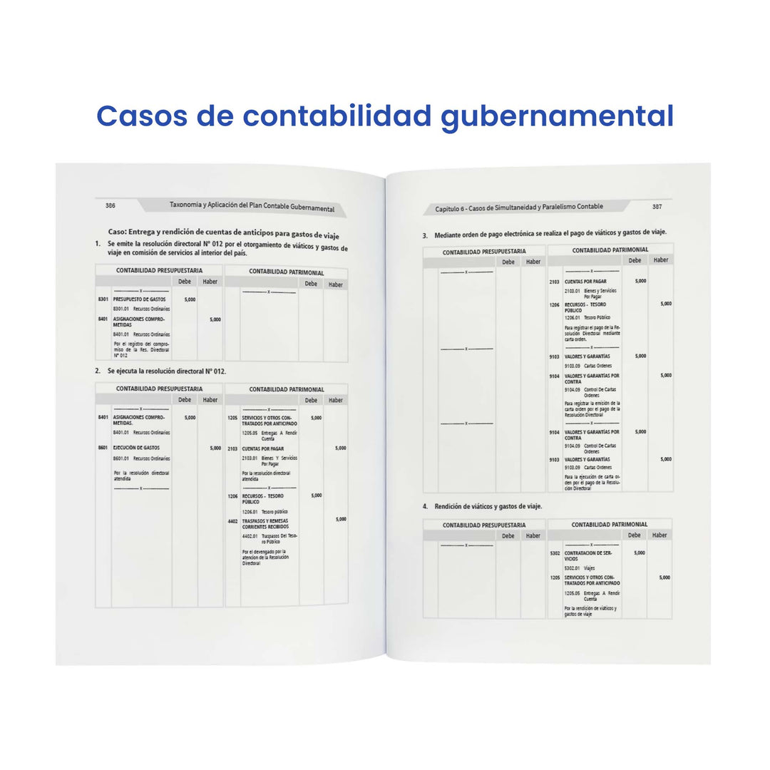 Taxonomía y Aplicación del Plan Contable Gubernamental: Casos Prácticos, Dinámica y Monografías (Edición 2025)