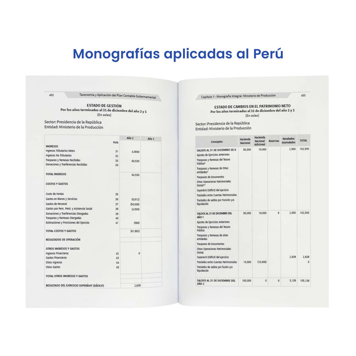 Taxonomía y Aplicación del Plan Contable Gubernamental: Casos Prácticos, Dinámica y Monografías (Edición 2025)