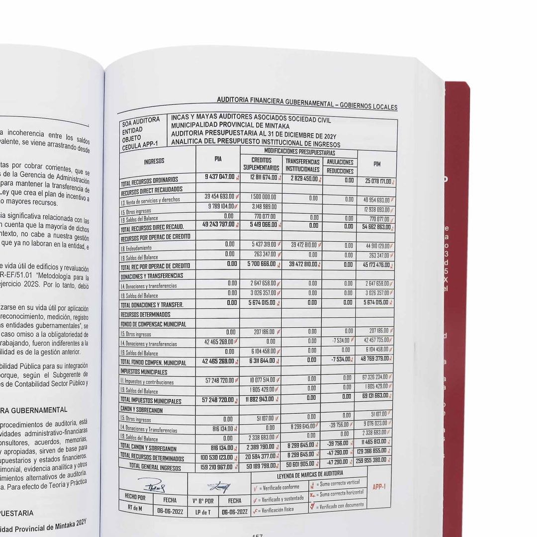 Auditoria Financiera Gubernamental